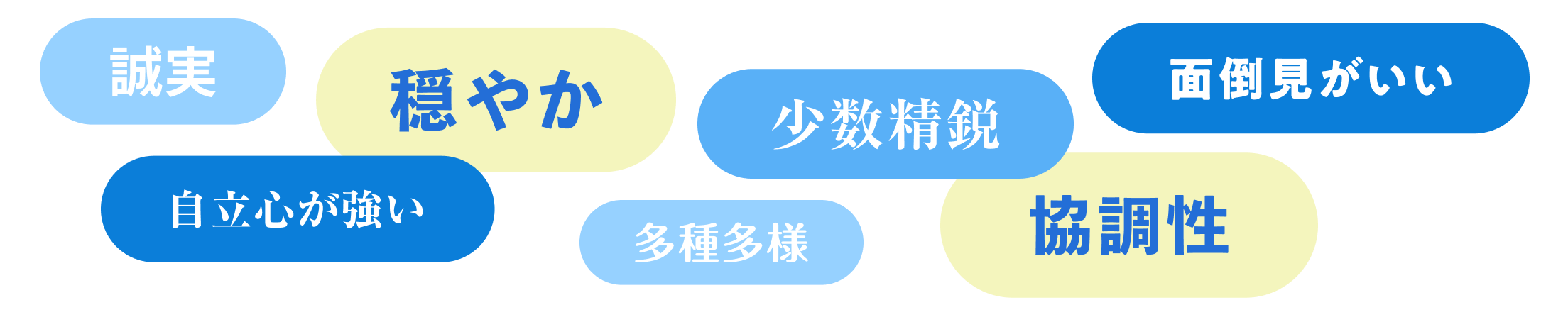 穏やか、誠実、自立心が強い、少数精鋭、多種多様、協調性、面倒見がいい